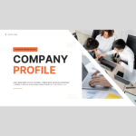 company profile